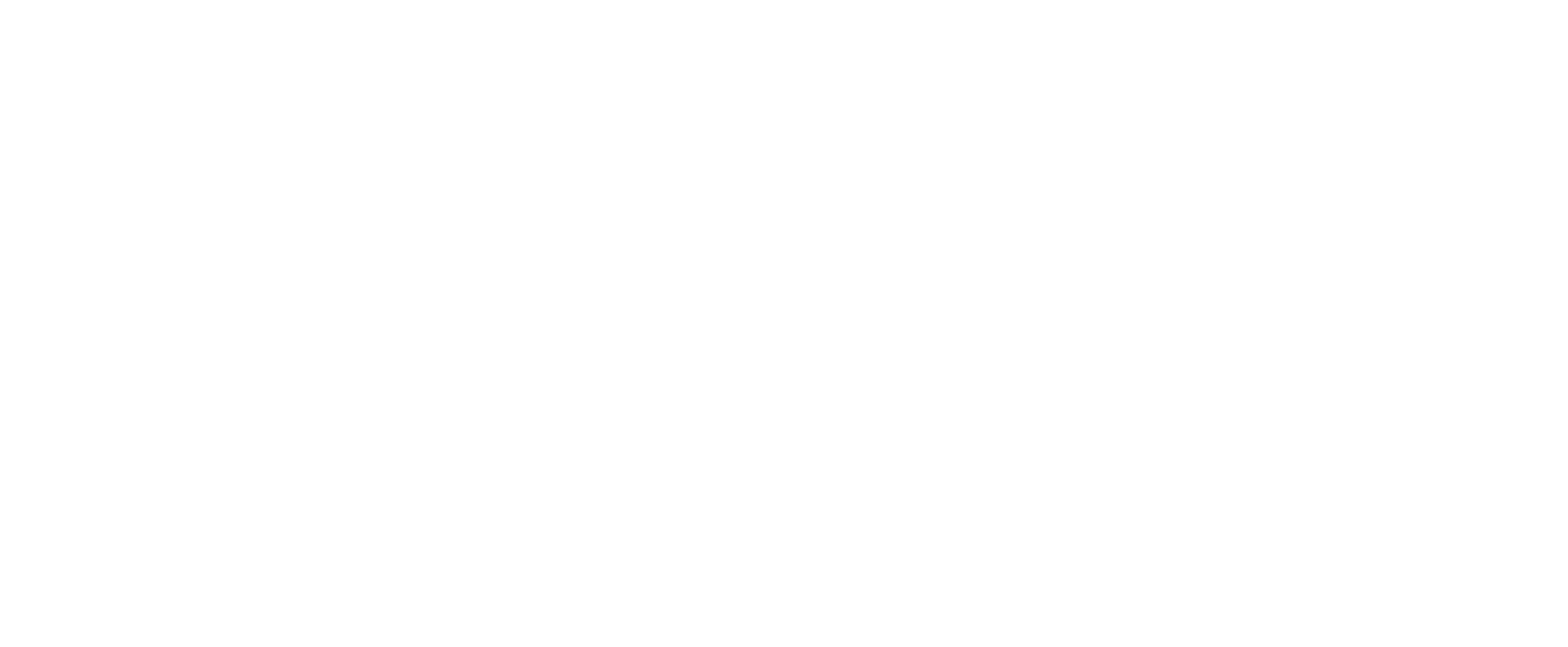 Verim Yarışları